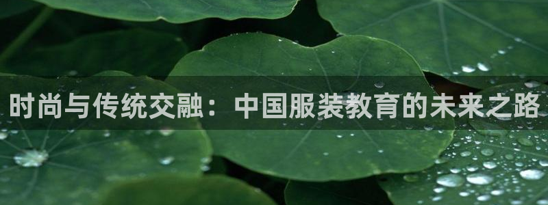 星欧娱乐旗下艺人名单