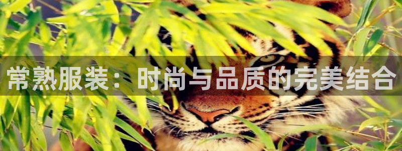 星欧娱乐文化无锡