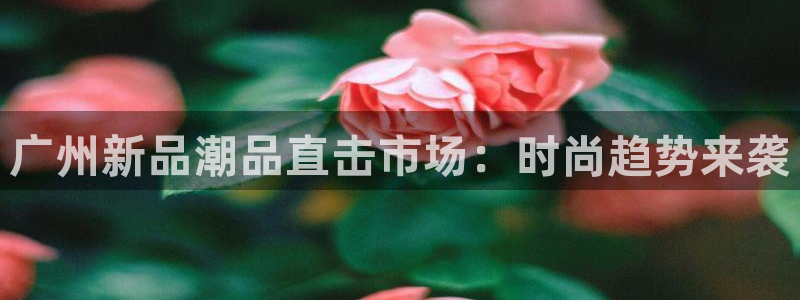 星欧娱乐雀V是什么平台