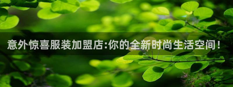 星欧娱乐负责人