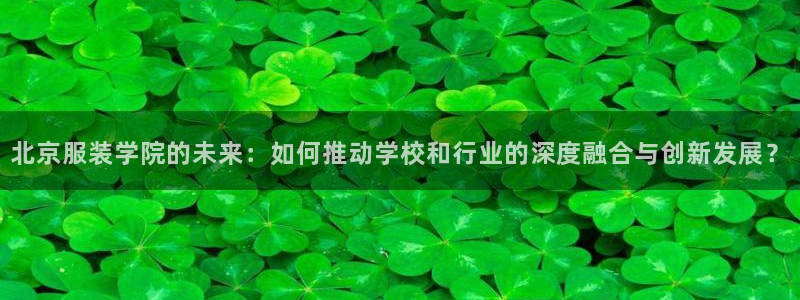 星饭娱乐欧豪