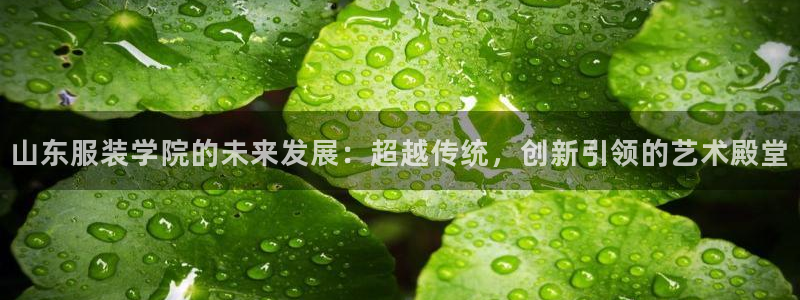 星辉娱乐进入欧联杯了吗