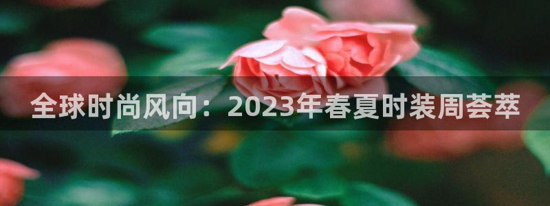 星欧娱乐平台电话