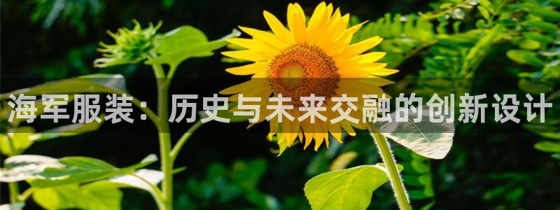 星辉娱乐西班牙人欧联