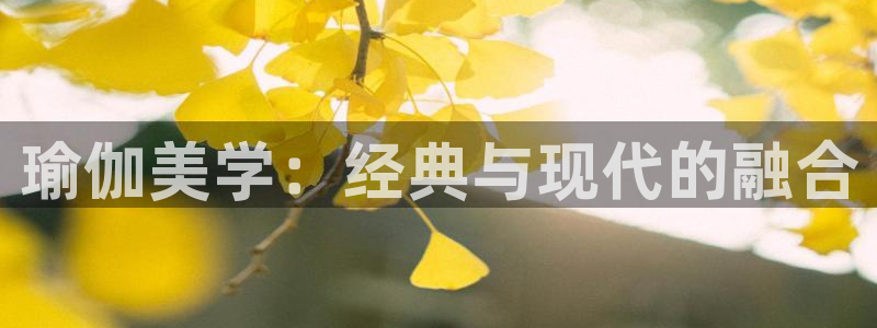 星欧娱乐用户名和密码
