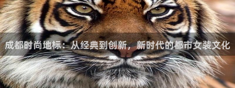 星欧娱乐联客服联系方式