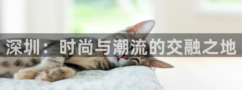 欧星娱乐网址接受